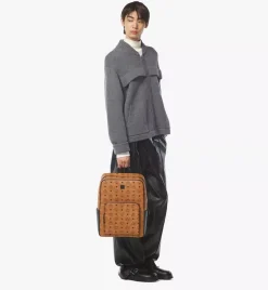Aren Backpack In Visetos