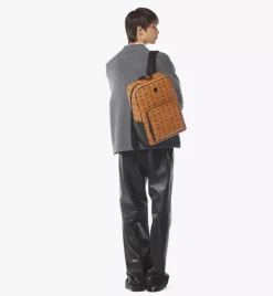 Aren Backpack In Visetos