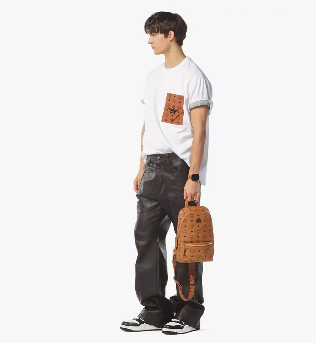 Aren Sling Bag In Visetos