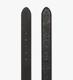 Aren Studded Belt 1.5