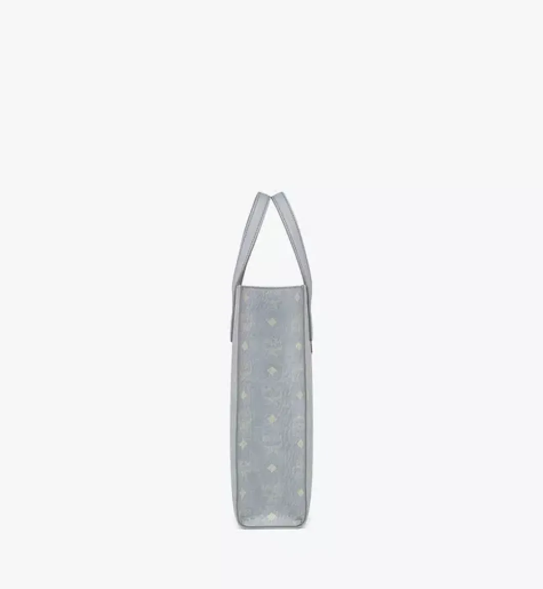 Aren Tote In Visetos