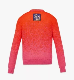 Jacquard Sweater In Gradation Mohair