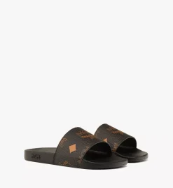 Maxi Visetos Slides
