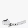 Pet Leash In Visetos