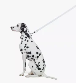 Pet Leash In Visetos
