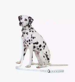 Pet Leash In Visetos