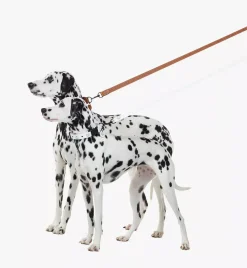 Pet Leash In Visetos