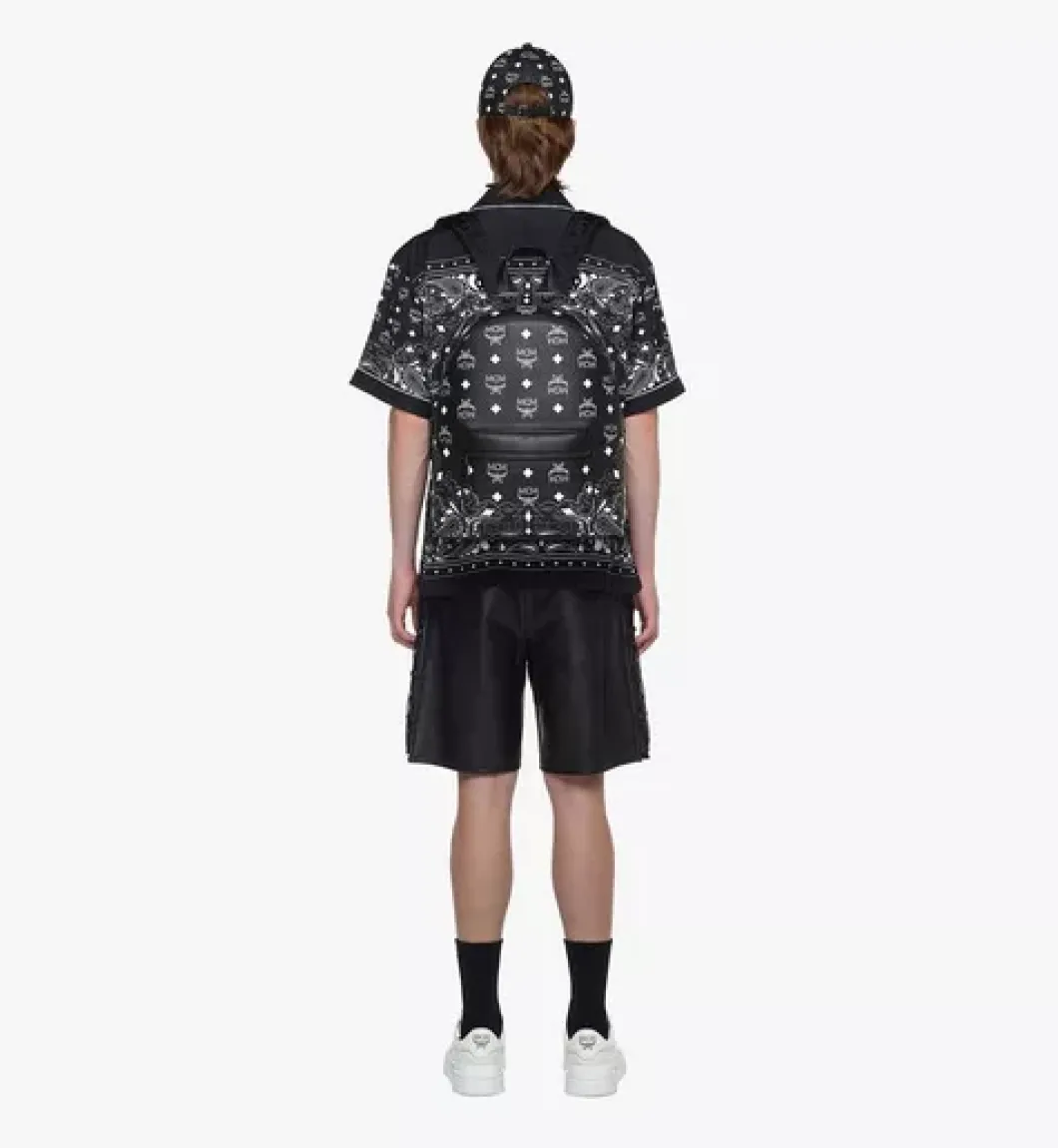 Stark Backpack In Bandana Visetos