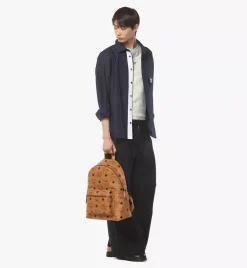 Stark Backpack In Maxi Visetos