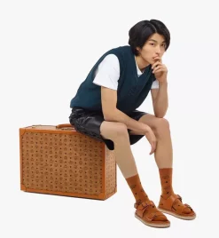 Suitcase In Visetos