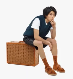 Suitcase In Visetos